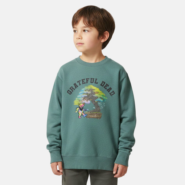 ＜KIDS＞RSC×GRATEFUL DEAD / BONSAI TIE DYE BEAR SWEATSHIRT【25953224】