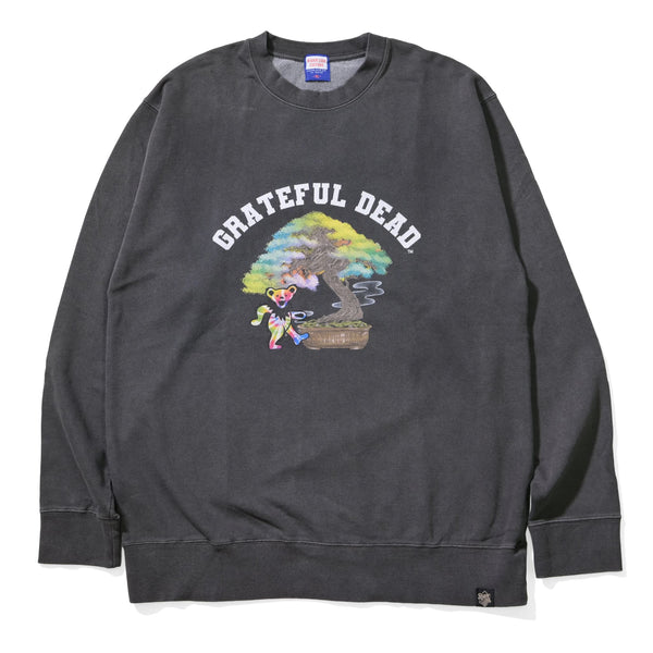 RSC×GRATEFUL DEAD / BONSAI TIE DYE BEAR SWEATSHIRT【25953215】